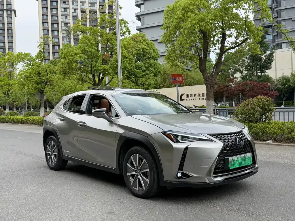 Lexus UX New Energy 2022 из CN, фото 6