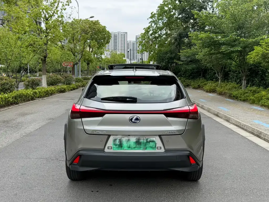 Lexus UX New Energy 2022 из CN, фото 9