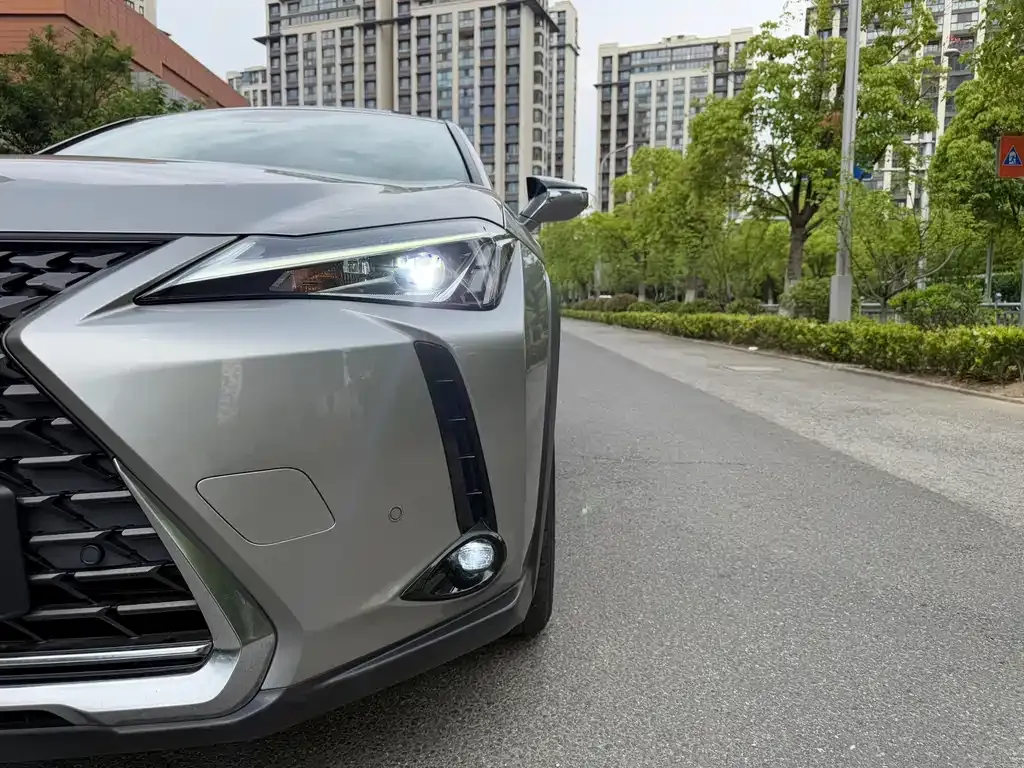 Lexus UX New Energy 2022 из CN, фото 8