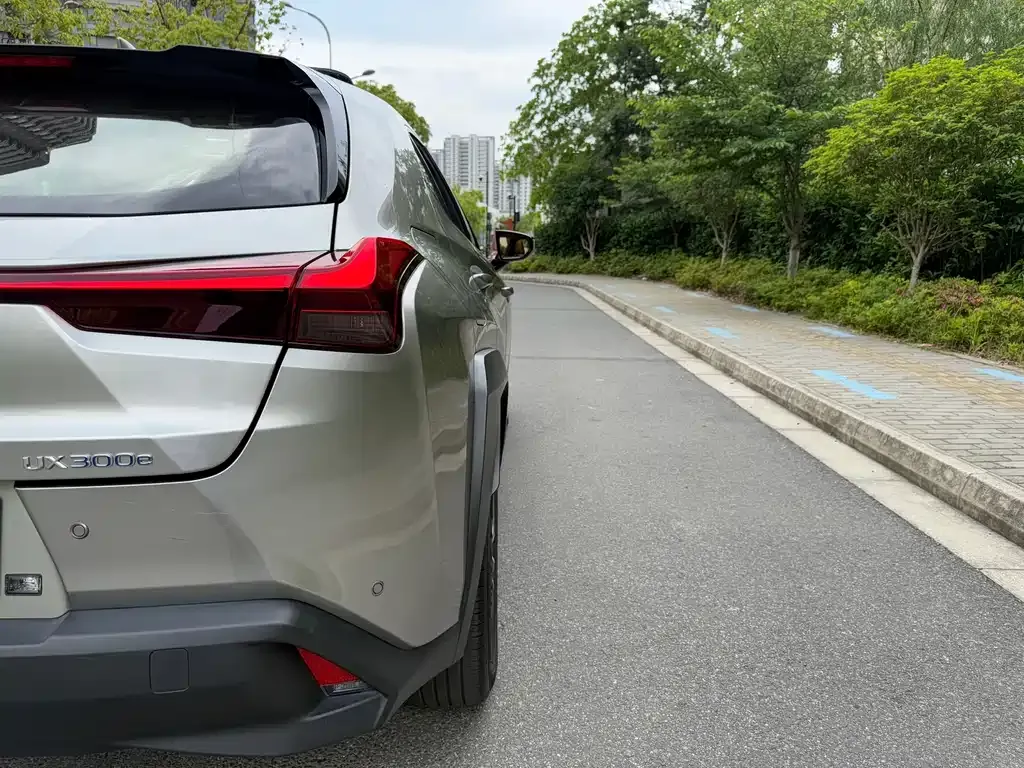 Lexus UX New Energy 2022 из CN, фото 7