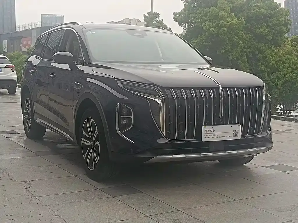 Hongqi HS7 2023 из CN, фото 10