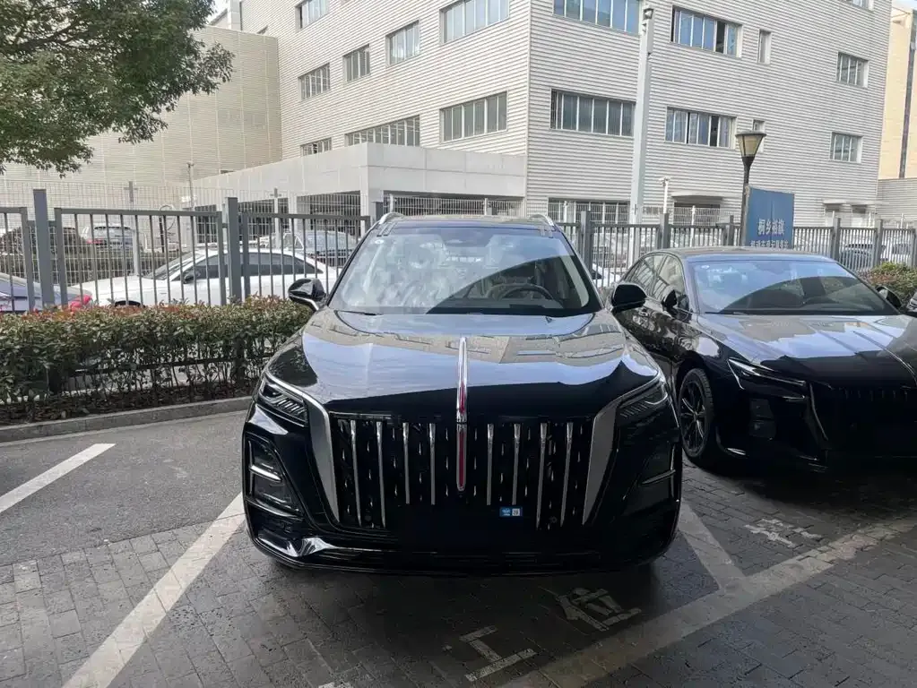 Hongqi HS5 2025 из CN, фото 8