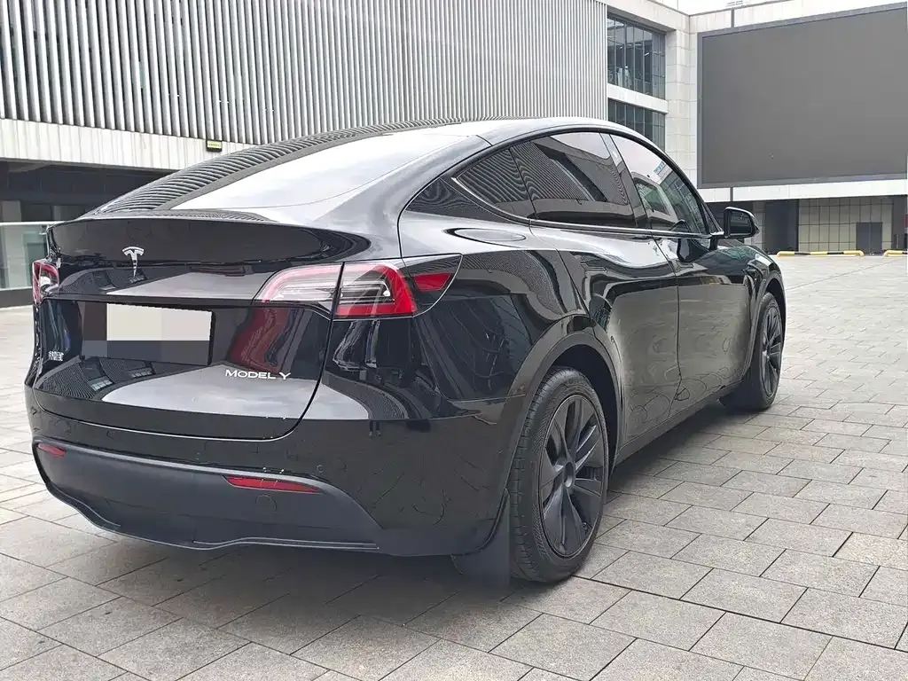 Tesla Model Y — фото 9