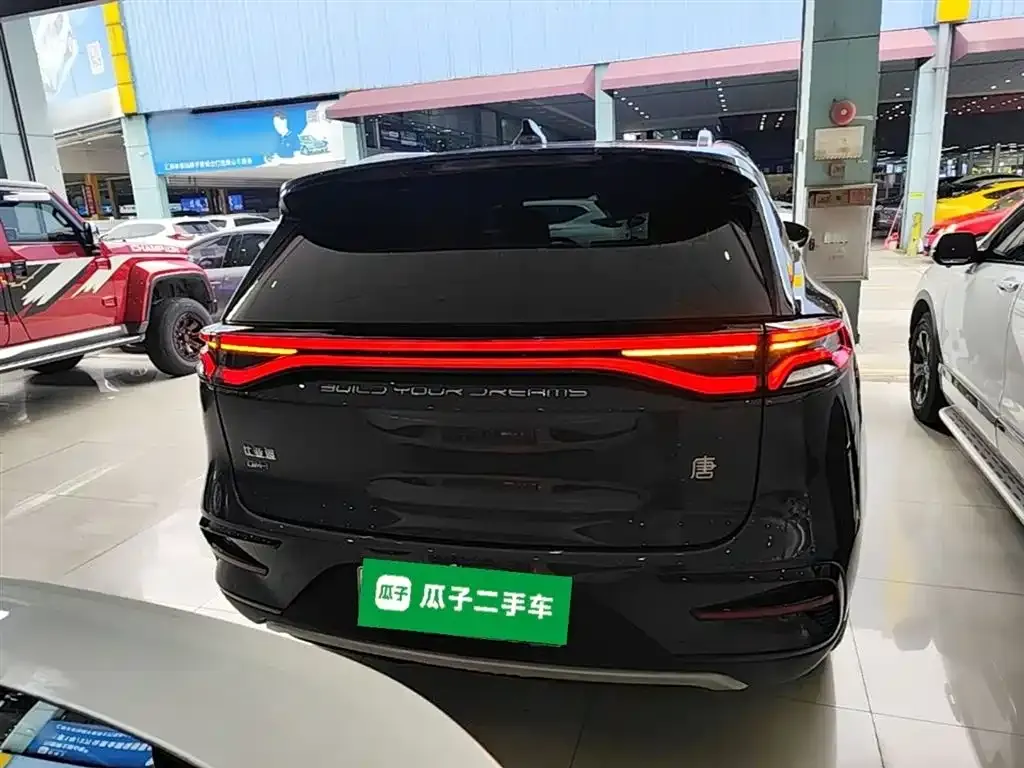 BYD Tang New Energy — фото 9