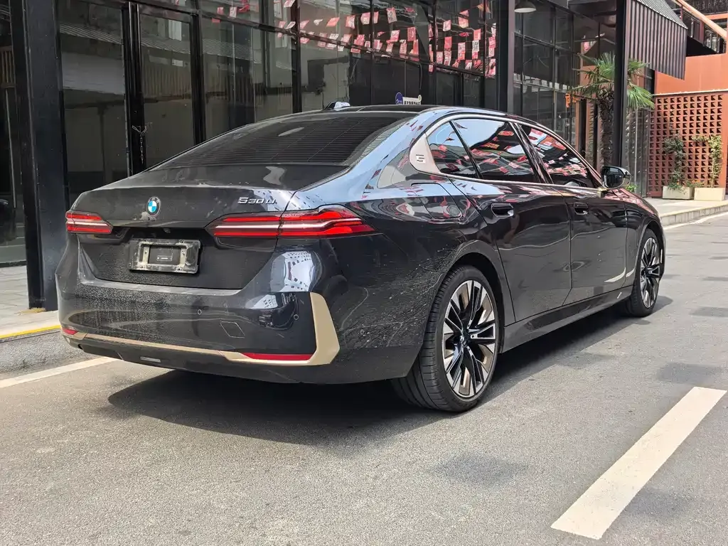 BMW 5 Series 2024 из CN, фото 8