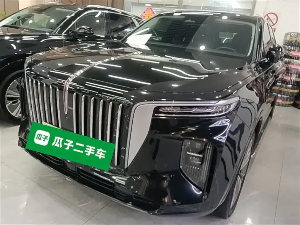 Hongqi E-HS9 — фото 6
