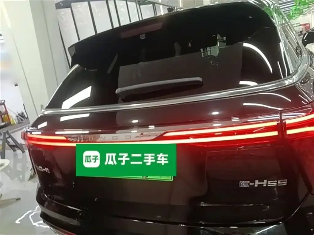 Hongqi E-HS9 — фото 4