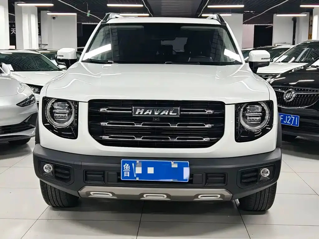 Haval Big Dog 2021 из CN, фото 7