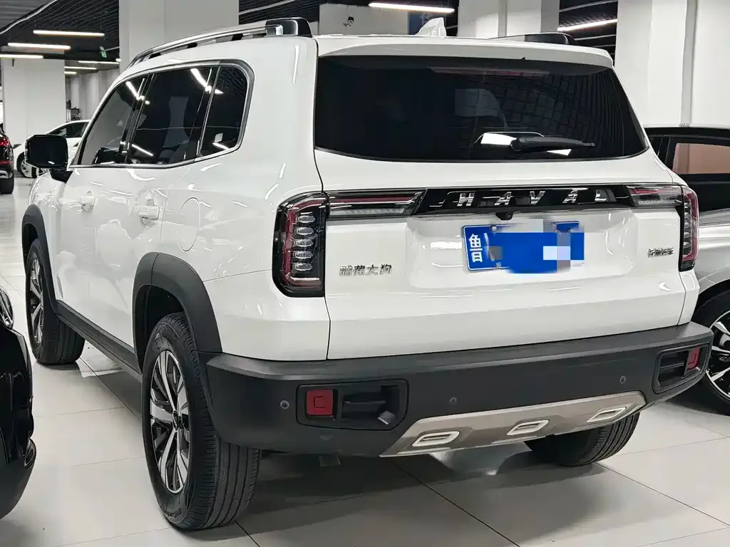 Haval Big Dog 2021 из CN, фото 3