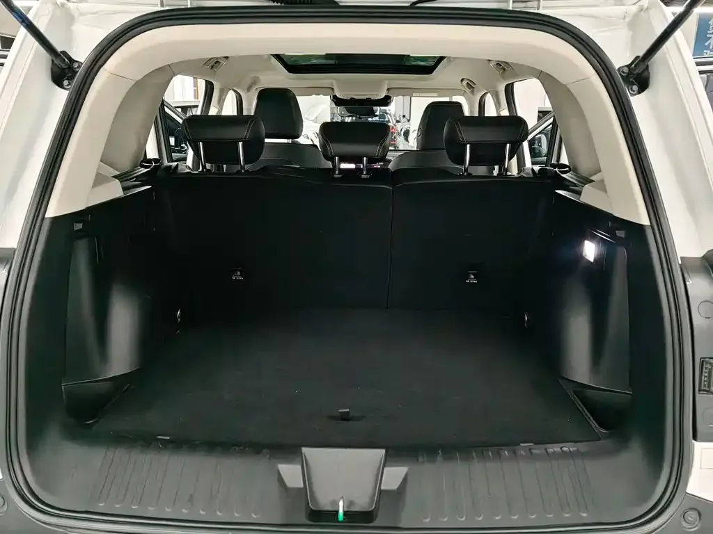 Haval Big Dog 2021 из CN, фото 6