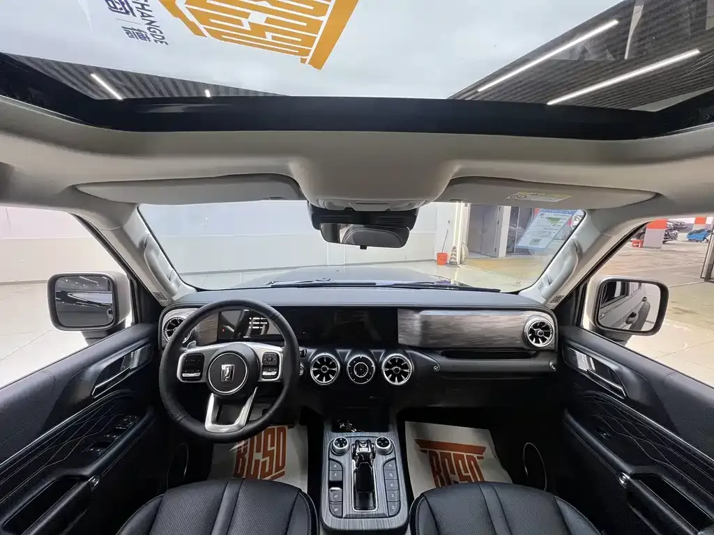 Tank 300 2022 из CN, фото 9