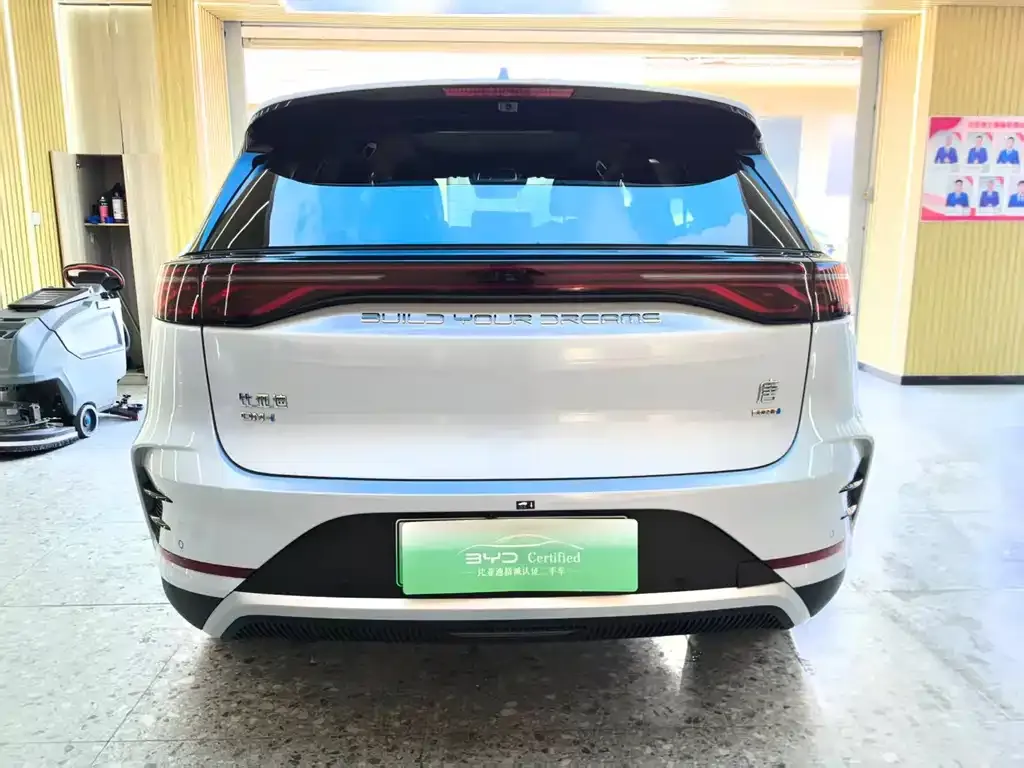 BYD Tang New Energy — фото 5