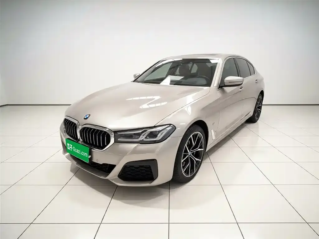 BMW 5 Series 2021 из CN, фото 1