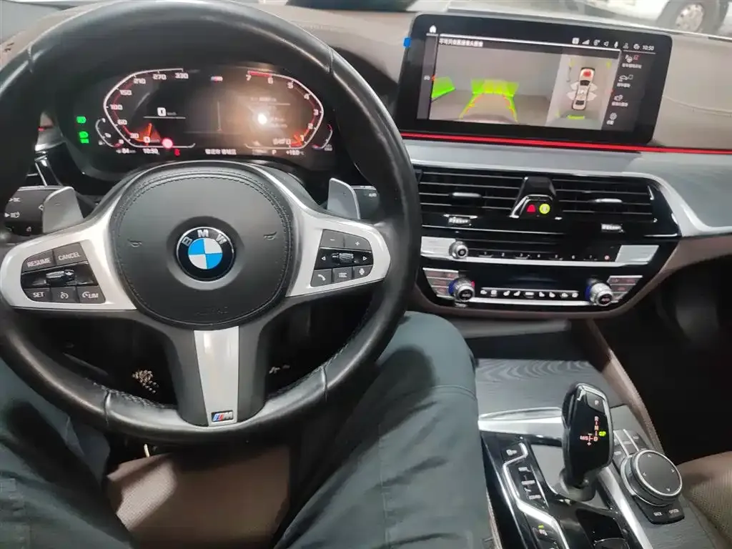 BMW 5 Series 2021 из CN, фото 10