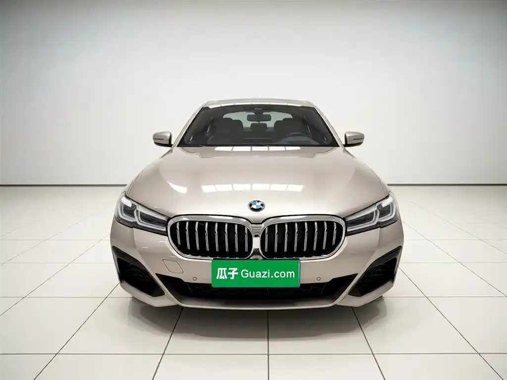 BMW 5 Series 2021 из CN, фото 8