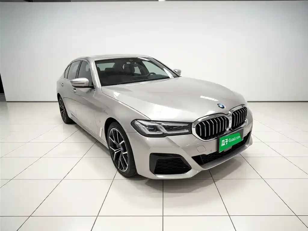 BMW 5 Series 2021 из CN, фото 4