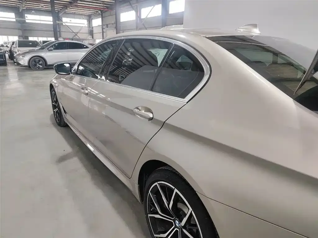 BMW 5 Series 2021 из CN, фото 7