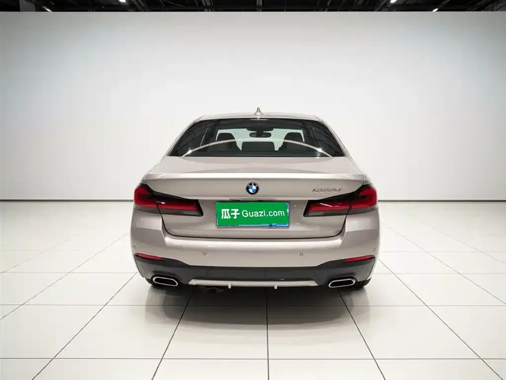 BMW 5 Series 2021 из CN, фото 6