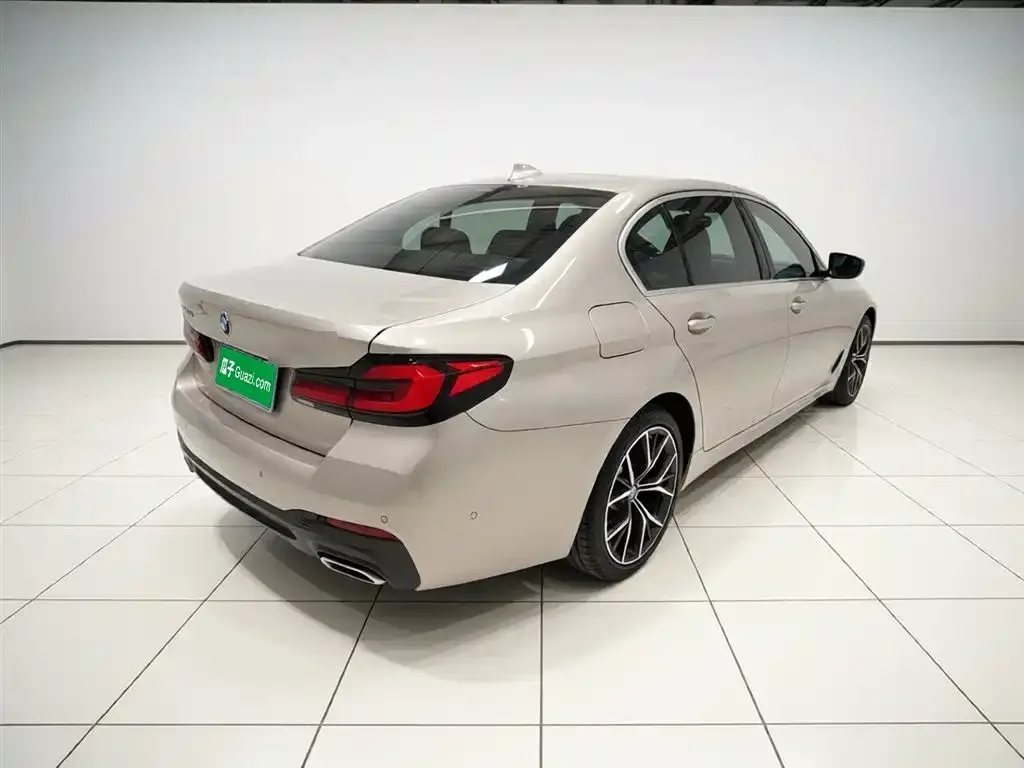 BMW 5 Series 2021 из CN, фото 5