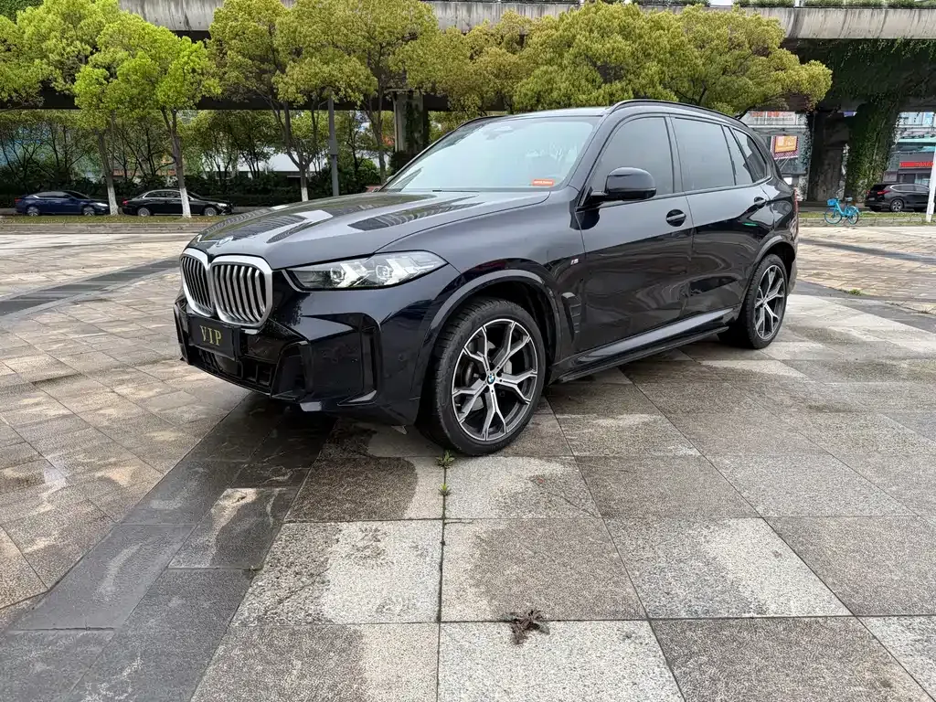 BMW X5 2024 из CN, фото 9