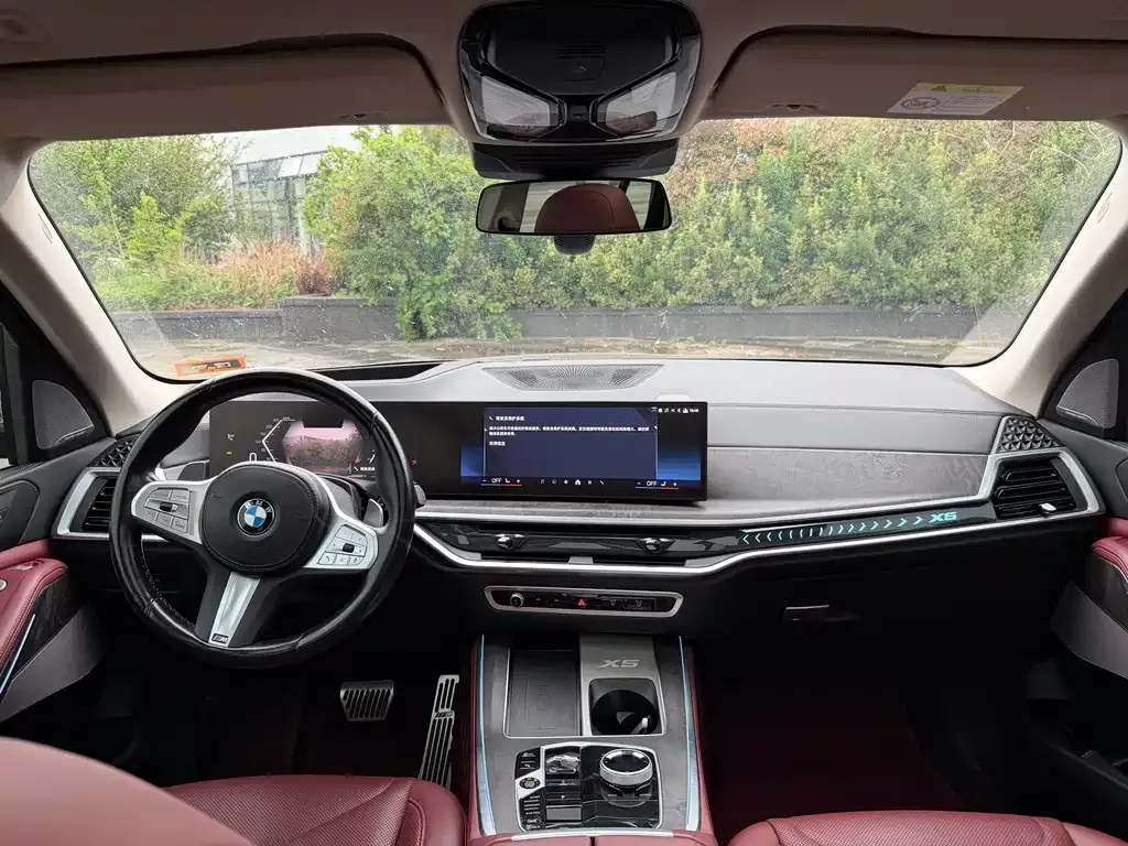 BMW X5 2024 из CN, фото 6