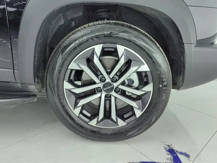 Haval Big Dog 2025 из CN, фото 7