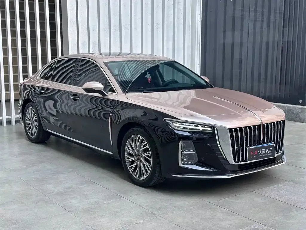 Hongqi H5 2023 из CN, фото 9