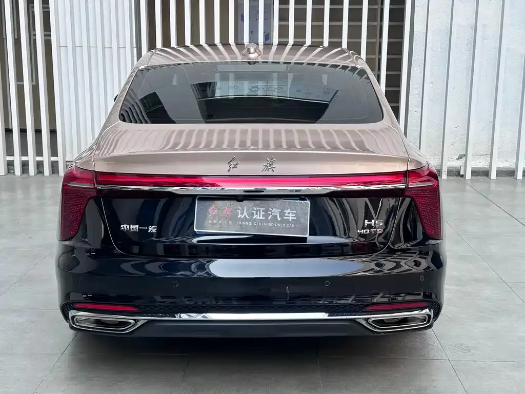 Hongqi H5 2023 из CN, фото 2
