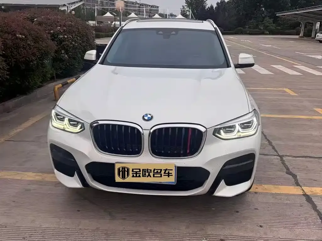 BMW X3 2021 из CN, фото 3