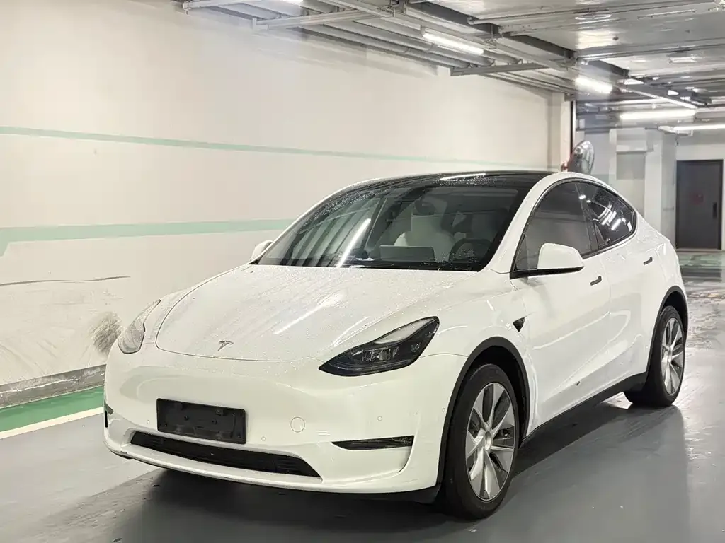 Tesla Model Y 2023 из CN, фото 1