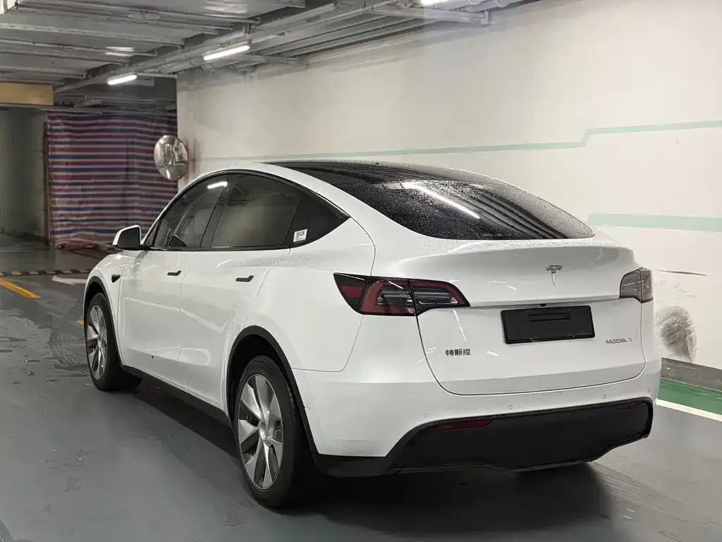 Tesla Model Y 2023 из CN, фото 6