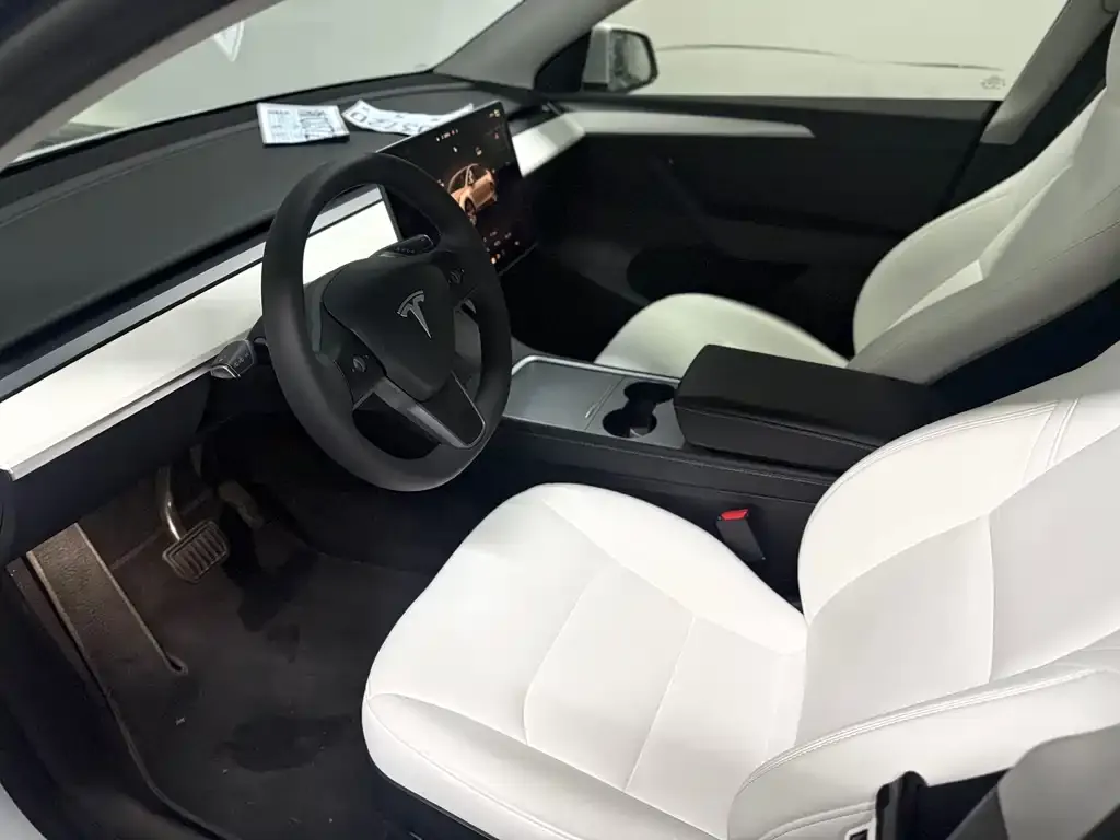 Tesla Model Y 2023 из CN, фото 4