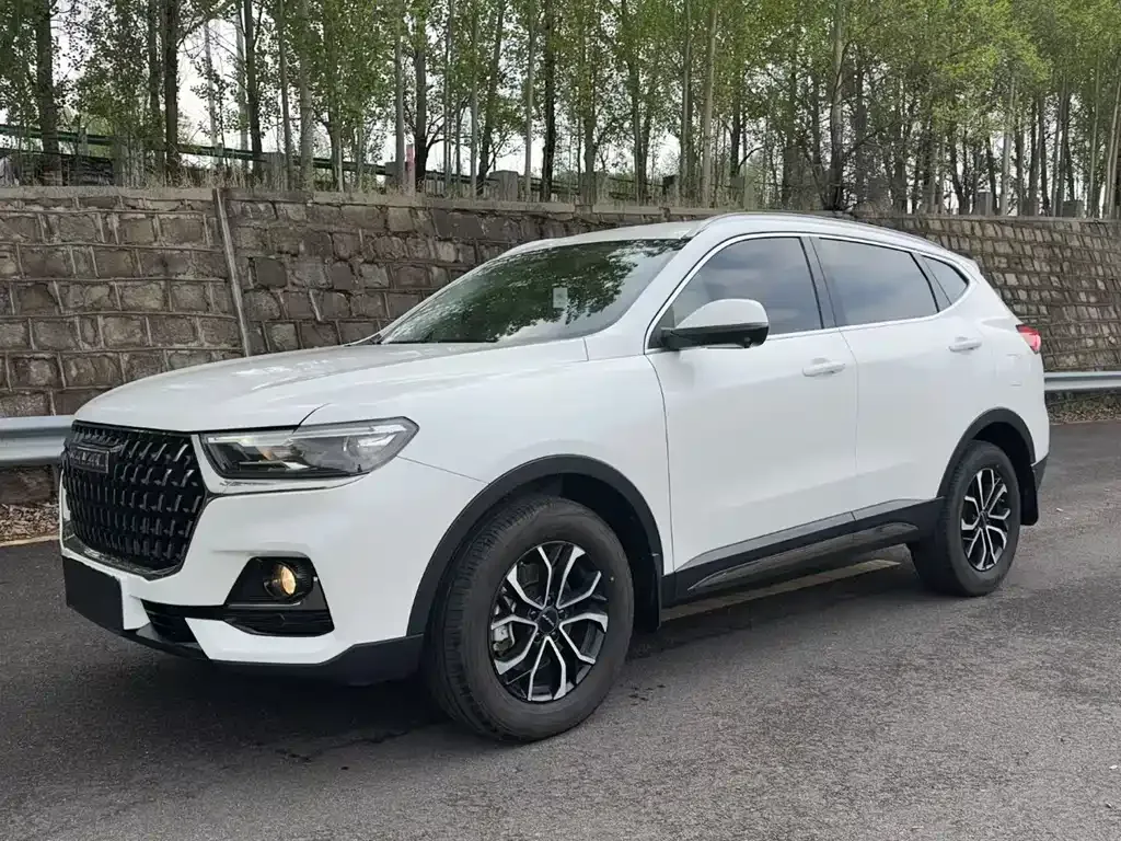 Haval H6 2024 из CN, фото 1