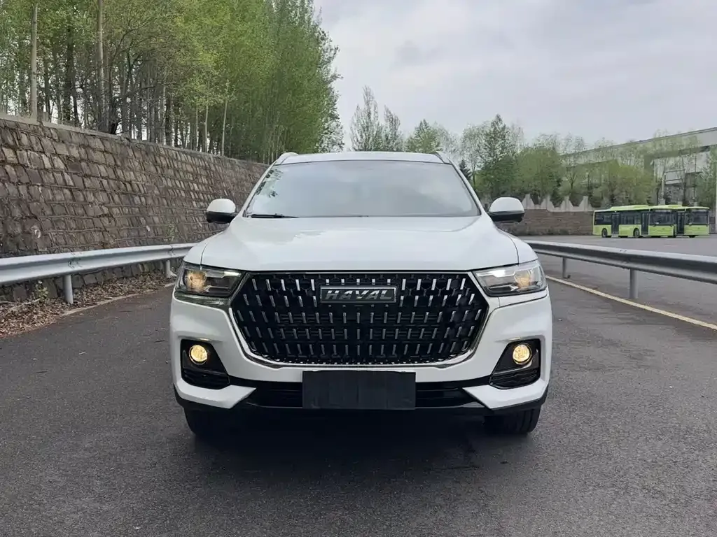 Haval H6 2024 из CN, фото 3