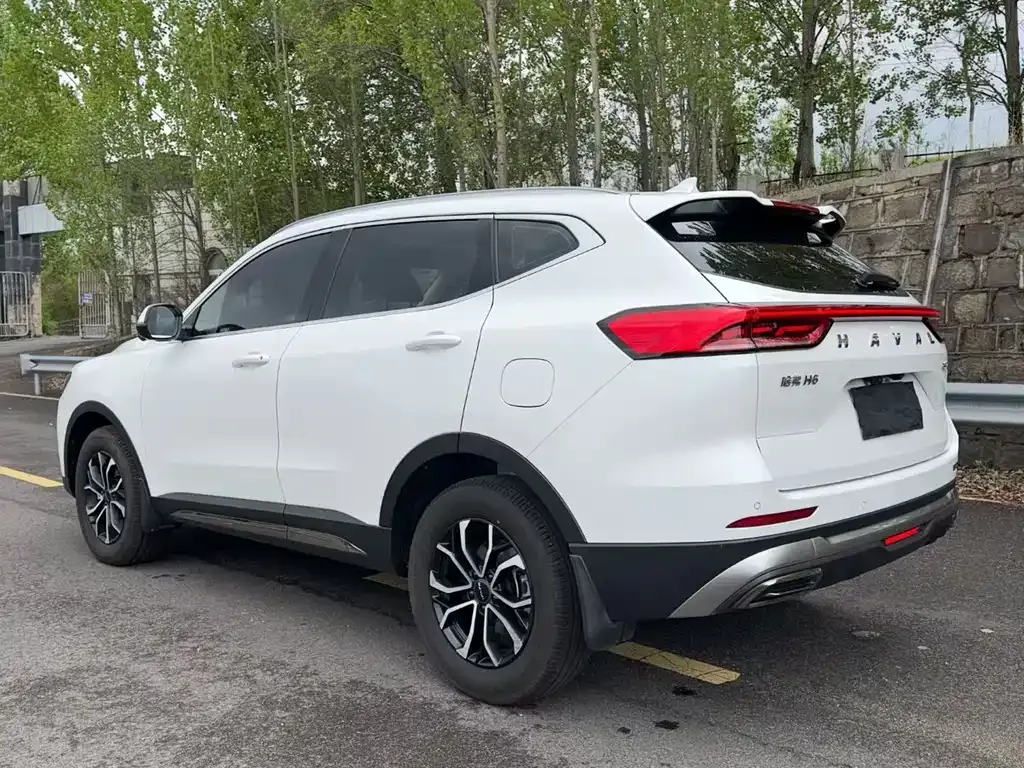 Haval H6 2024 из CN, фото 8