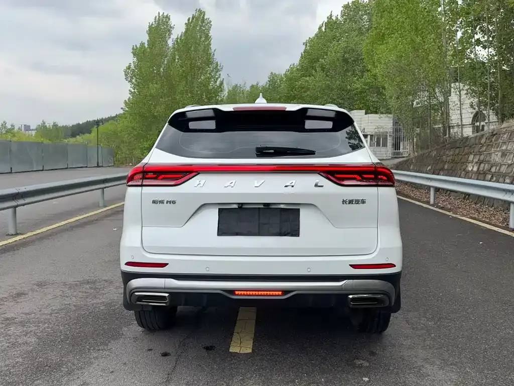 Haval H6 2024 из CN, фото 4