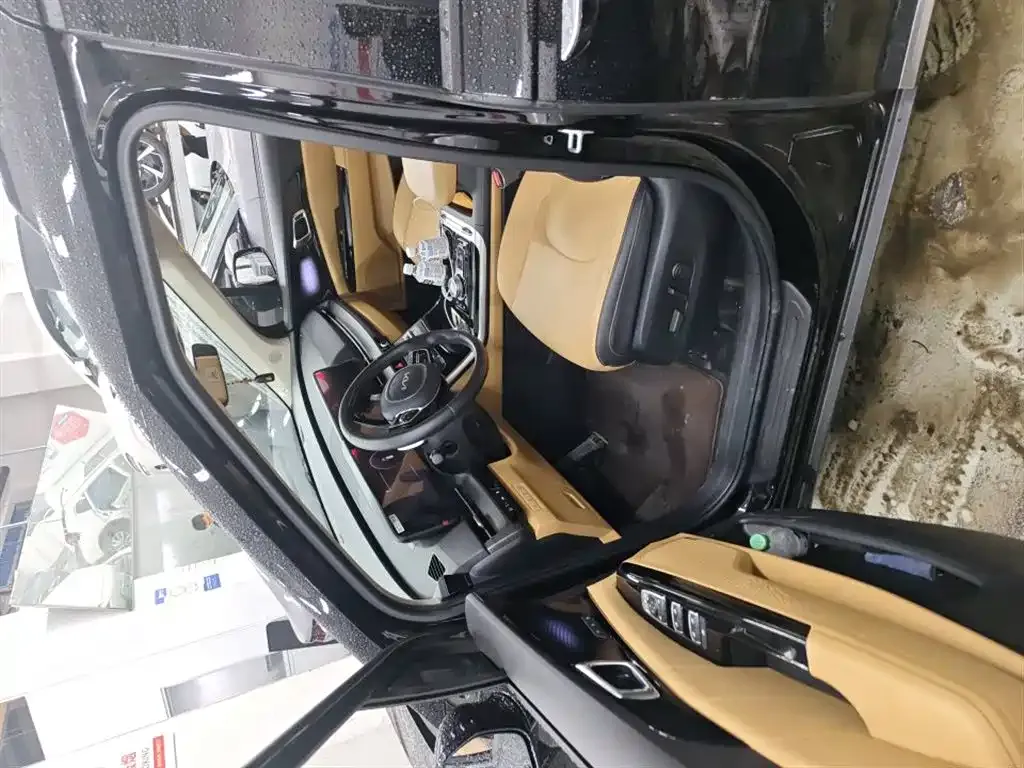 Kia Carnival 2024 из CN, фото 5
