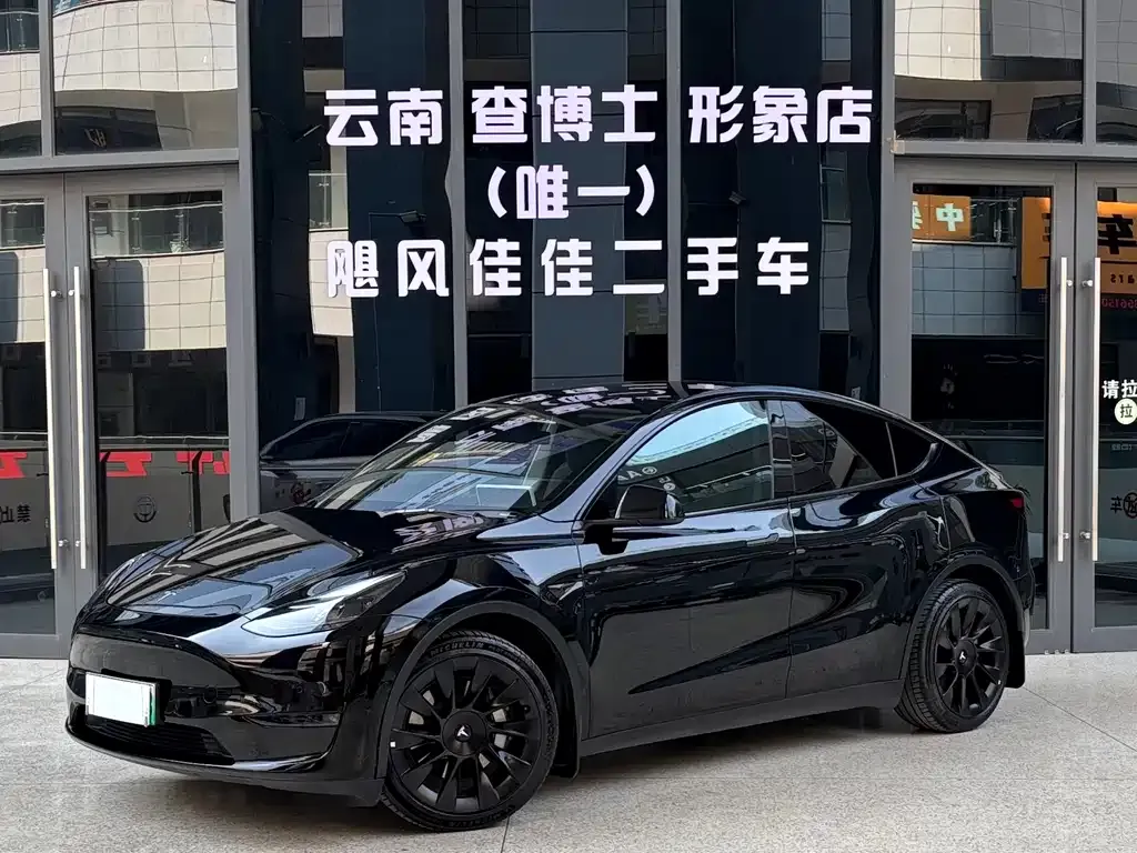 Tesla Model Y 2021 из CN, фото 1