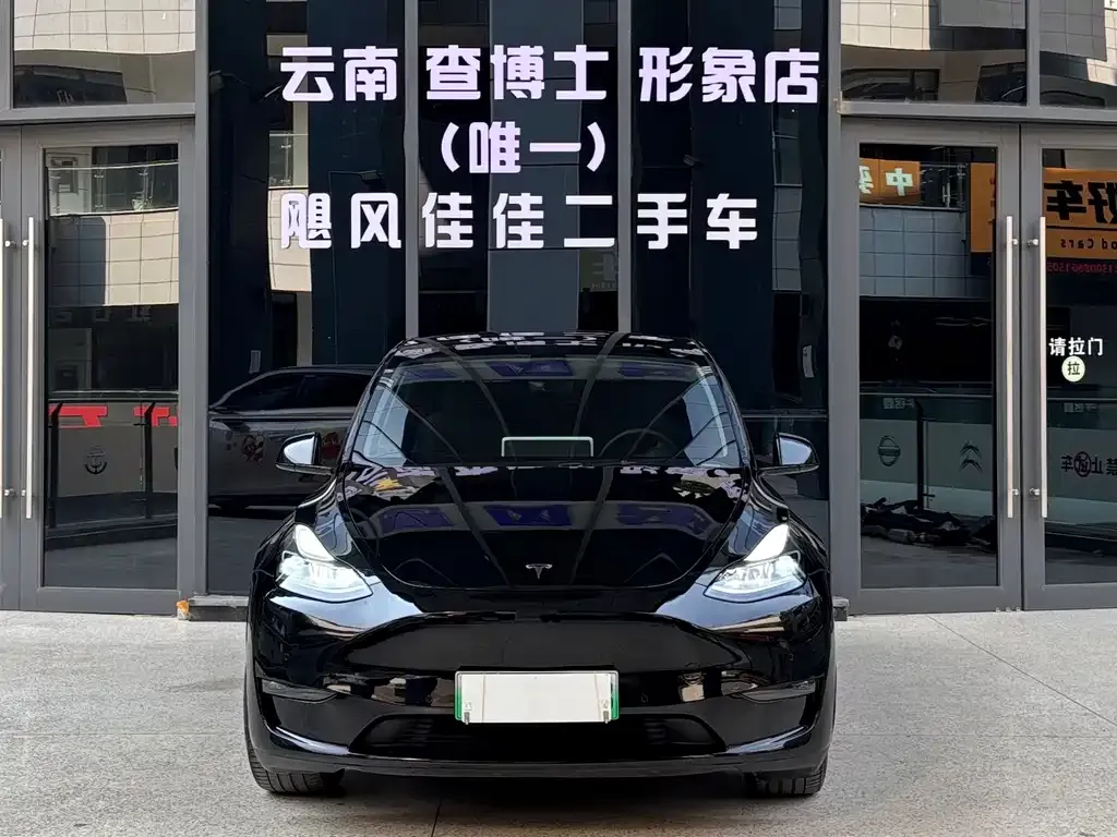Tesla Model Y 2021 из CN, фото 3