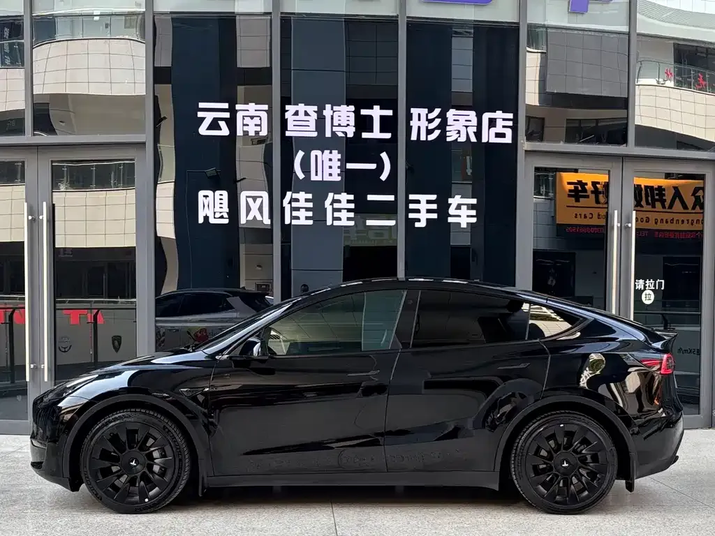 Tesla Model Y 2021 из CN, фото 10