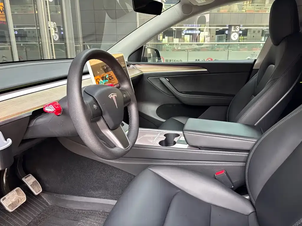 Tesla Model Y 2021 из CN, фото 6
