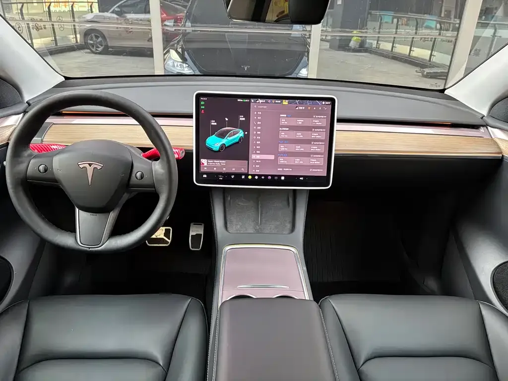 Tesla Model Y 2021 из CN, фото 5