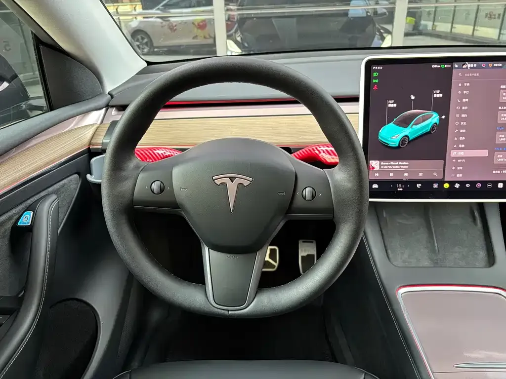 Tesla Model Y 2021 из CN, фото 4
