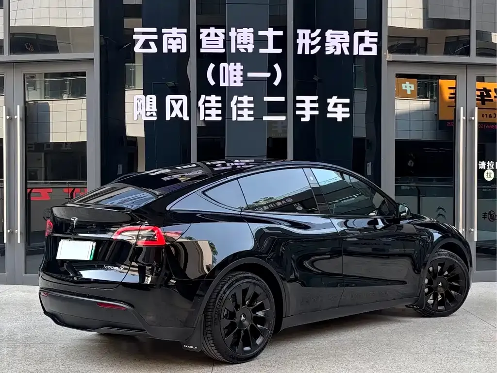 Tesla Model Y 2021 из CN, фото 2