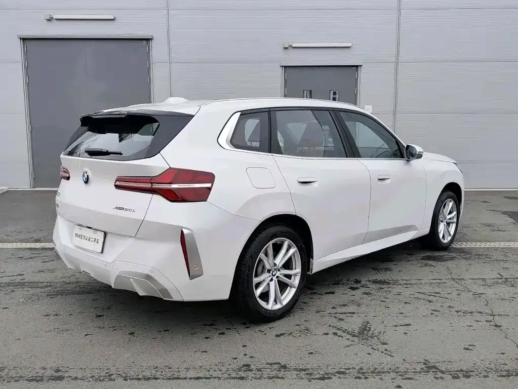 BMW X3 2025 из CN, фото 10