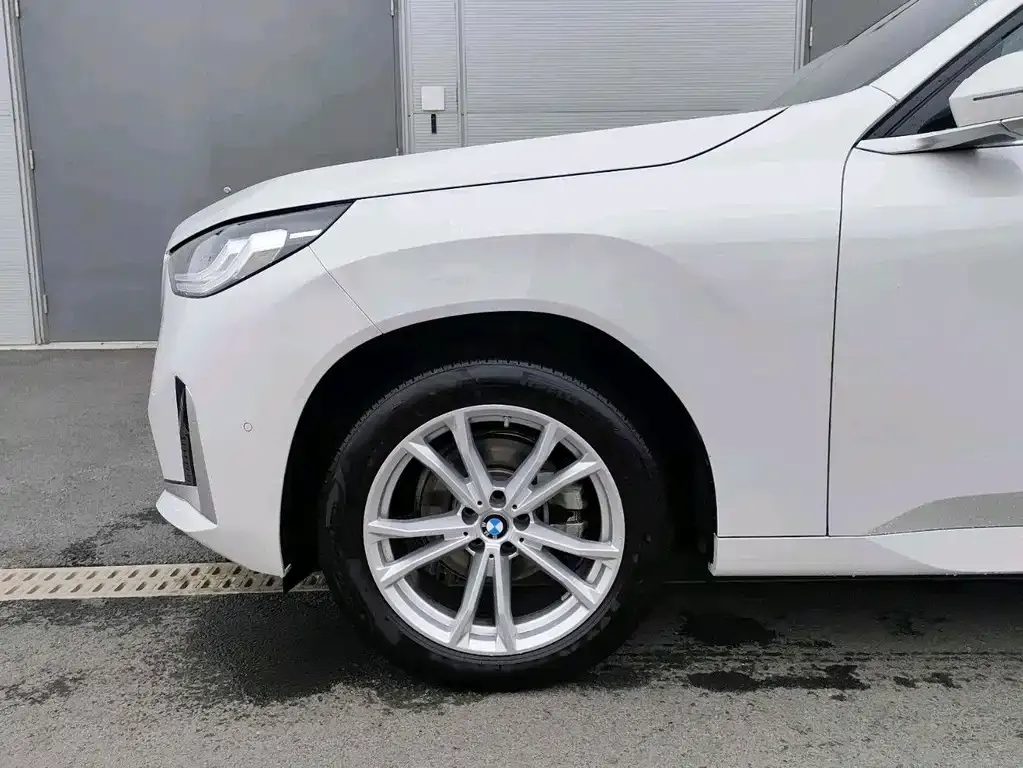 BMW X3 2025 из CN, фото 6