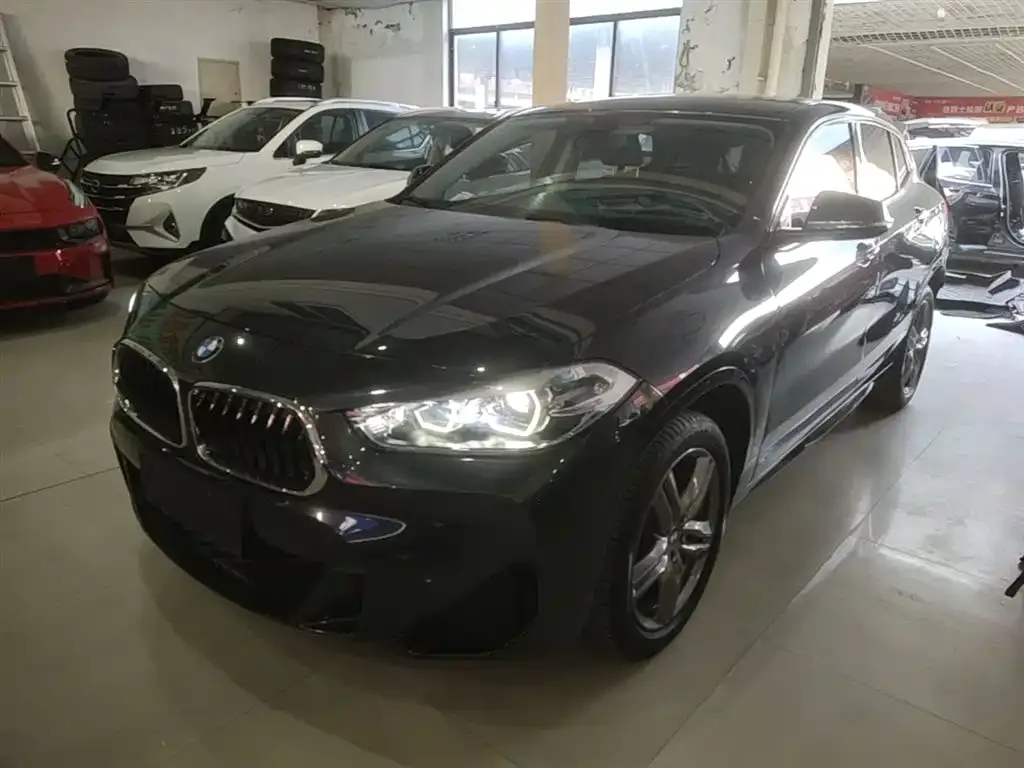 BMW X2 2022 из CN, фото 1
