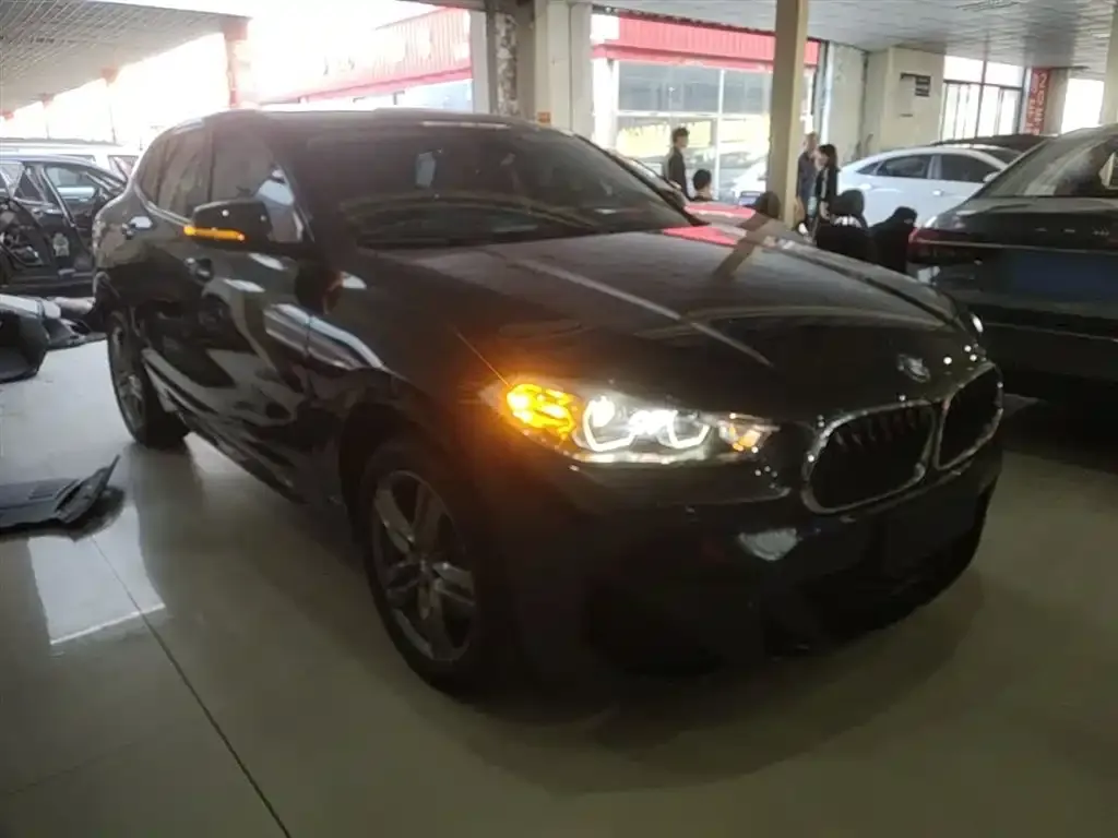 BMW X2 2022 из CN, фото 2