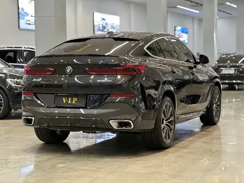 BMW X6 — фото 9