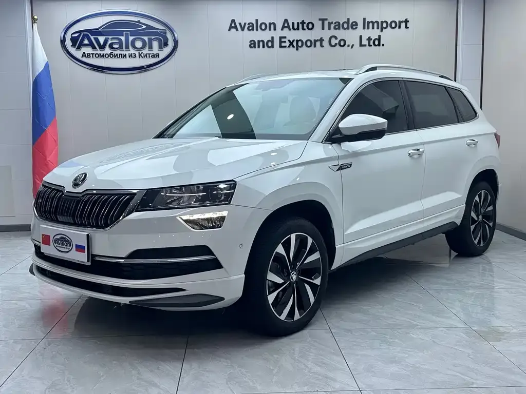 Skoda Karoq 2024 из CN, фото 1